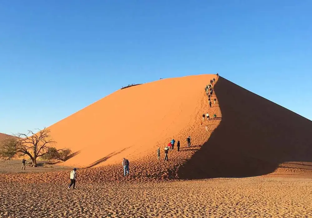 Kiedy jechać do Namibii: najlepszy czas na safari i zwiedzanie