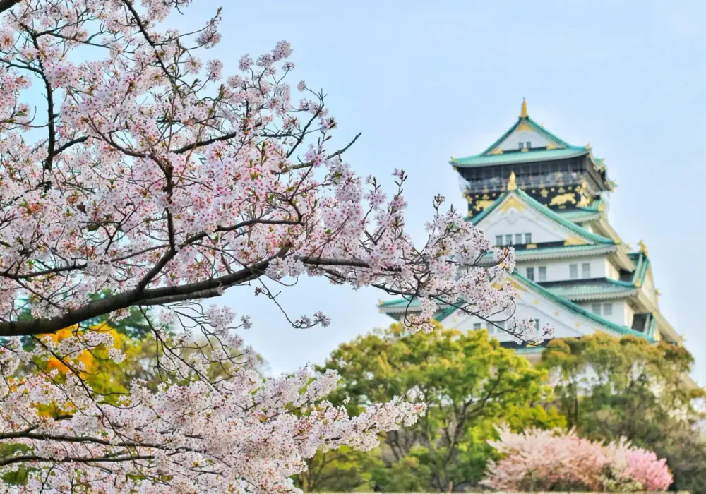 Kiedy jechać do Japonii? Najlepsze terminy i porady podróżnicze