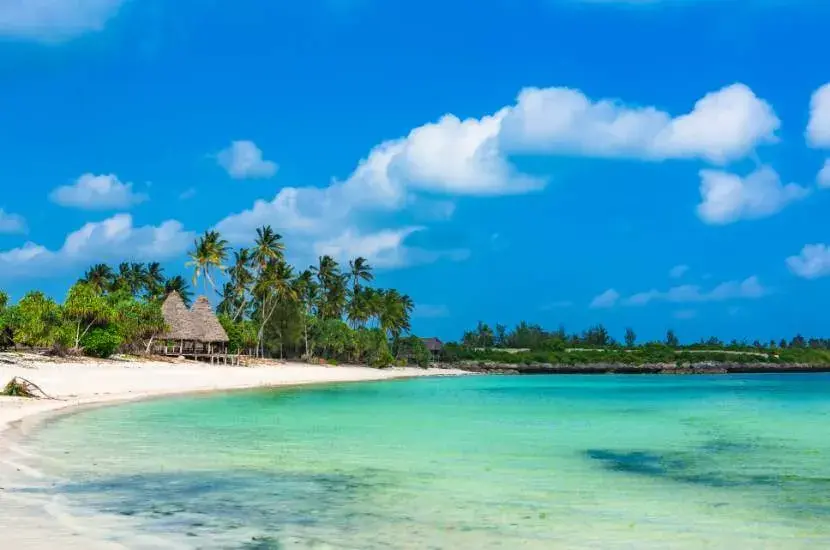 Lot do Zanzibar ile trwa: kompletny rozkład czasów przelotów z Polski