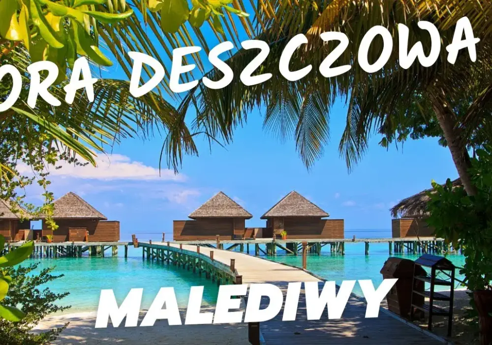 Najlepszy czas na podróż na Malediwy - kiedy jechać i co wiedzieć