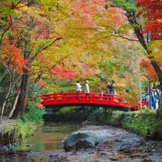 Japonia jesienią: wszystko o planowaniu wyjazdu, atrakcje i porady