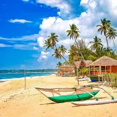 Sri Lanka: Kiedy jechać? Najlepszy czas na podróż i atrakcje
