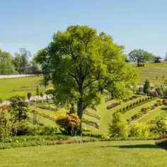 Arboretum Wojsławice: najlepszy czas na wizytę i atrakcje