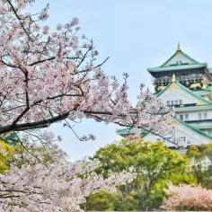 Kiedy jechać do Japonii? Najlepsze terminy i porady podróżnicze