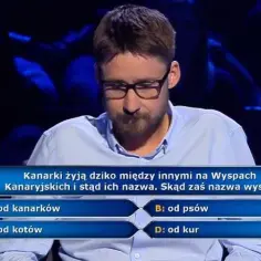 Wyspy Kanaryjskie - Skąd wzięła się ich intrygująca nazwa?