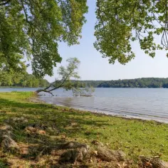 Działka nad jeziorem z linią brzegową warmińsko-mazurskie – idealna inwestycja