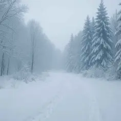 Śnieżna droga przez las, gdzie gałęzie drzew pokryte są białym puchem. W oddali mgła sugeruje, ile dni trwa zima.