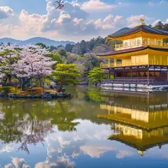 Japonia z TUI - tanie wycieczki do Kraju Kwitnącej Wiśni.