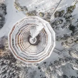 Spacer w koronach drzew Dolny Śląsk - niezapomniane wrażenia w naturze