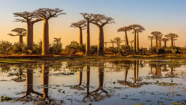 Madagaskar - Kiedy pora deszczowa i najlepszy czas na podróż?
